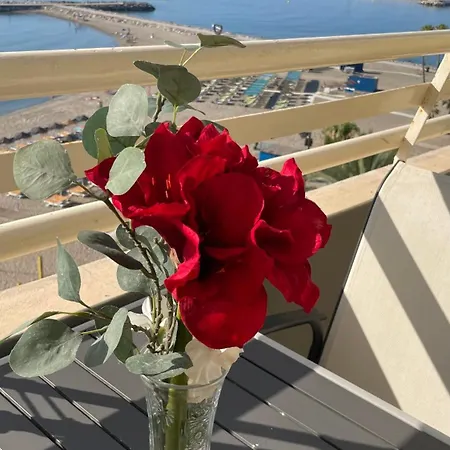 Edf. Stella Maris 610