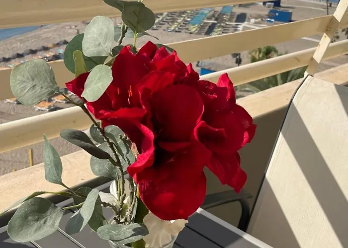 Edf. Stella Maris 610